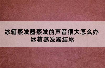 冰箱蒸发器蒸发的声音很大怎么办 冰箱蒸发器结冰